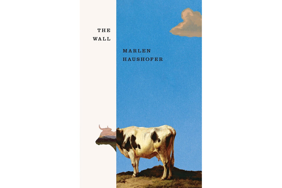 Survival novel 'The Wall' follows mysterious story of a trapped woman ...